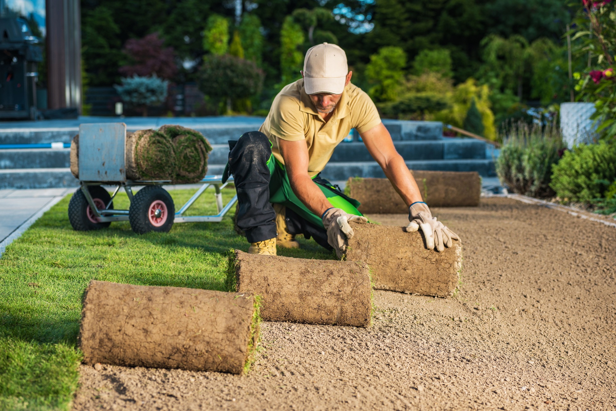 Residential Backyard Garden Fresh Natural Grass Turfs Installati