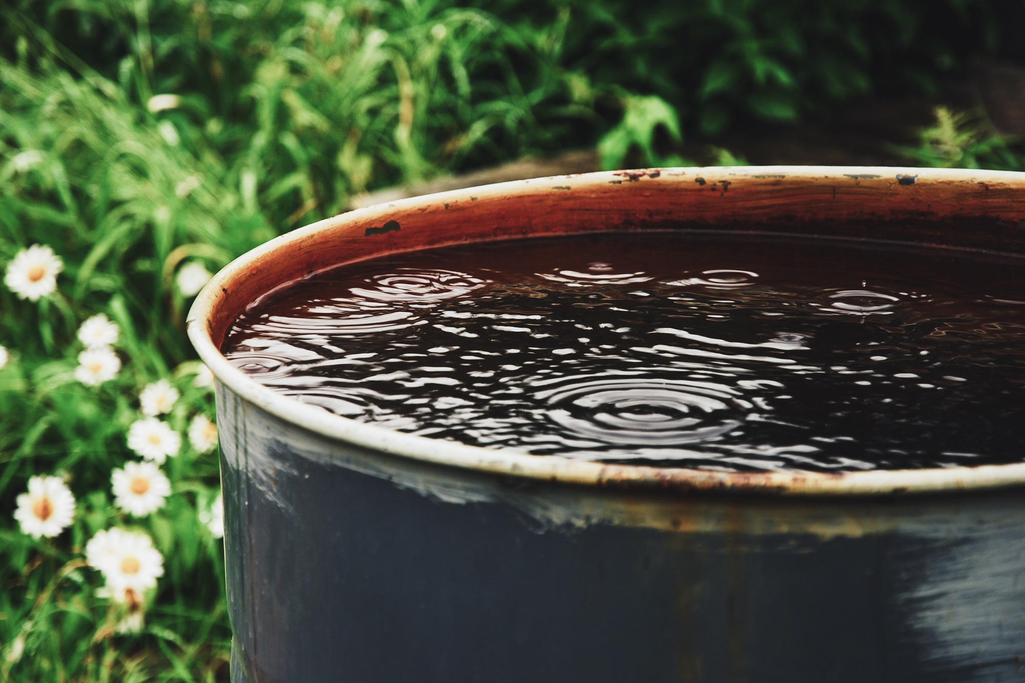 Water barrel for the garden, collecting rainwater